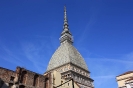 Torino 2011-50